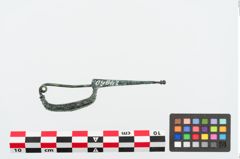 Foto von Bronzekahnfibel (NHMW-PRAE-024960)